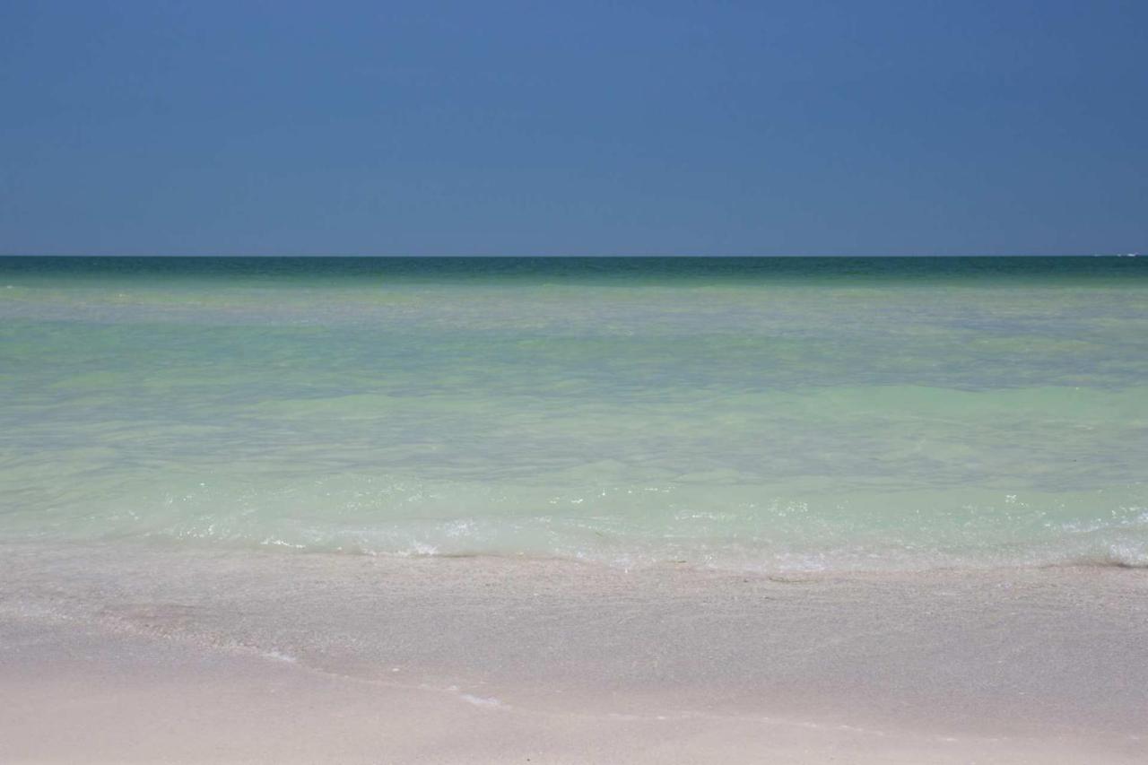 513 - Island Inn St. Pete Beach Buitenkant foto